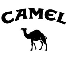 Logo camel shift